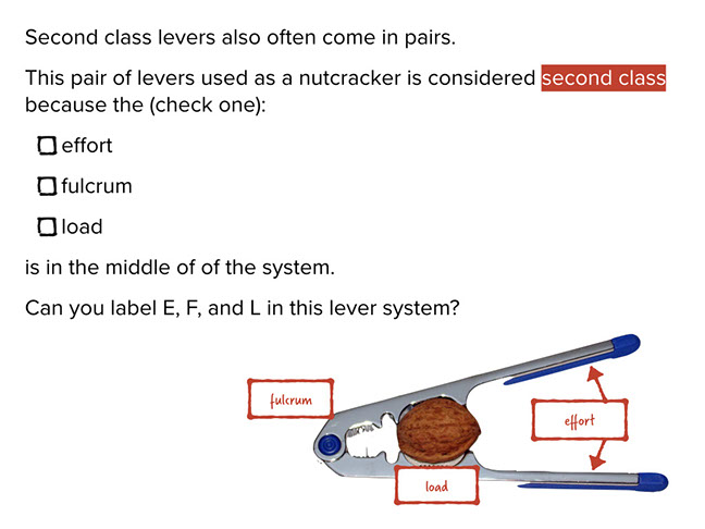 Pivot diagram of a Class 2 lever — Science Learning Hub