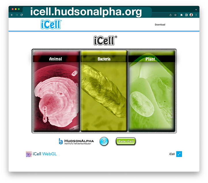Lesson: Comparing Cells Lesson: Comparing Cells
