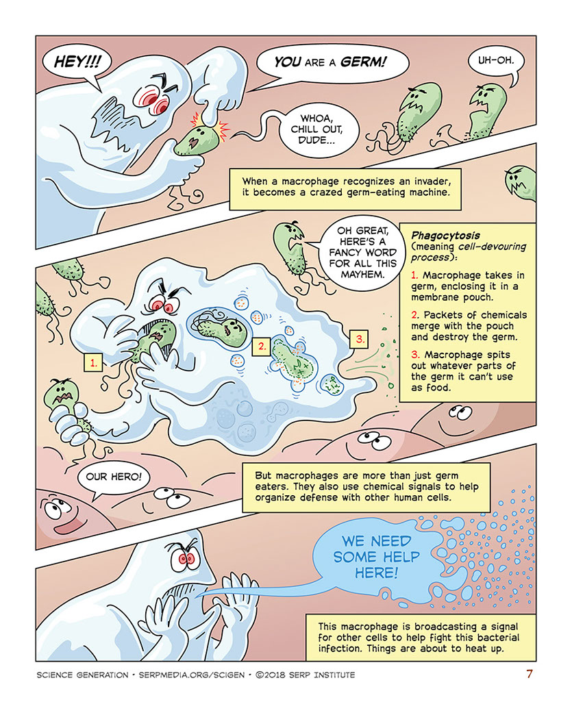 On Guard—Germs vs. the Immune System | Slide B