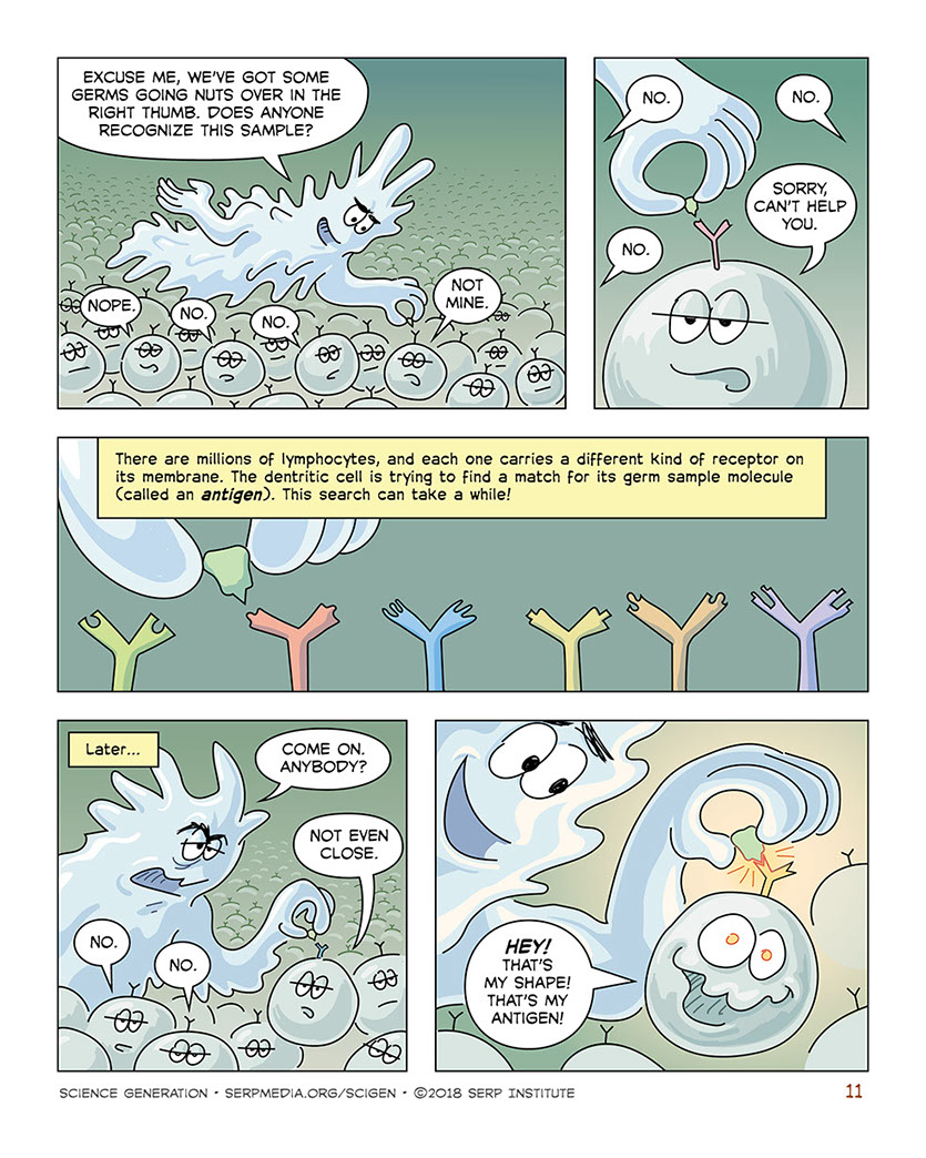 On Guard—Germs vs. the Immune System | Slide B