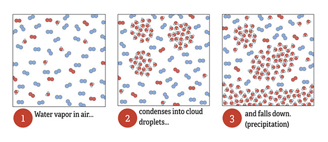 Interactive: Condensation and Evaporation