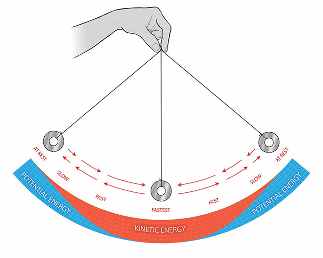 roller coaster diagram potential kinetic energy