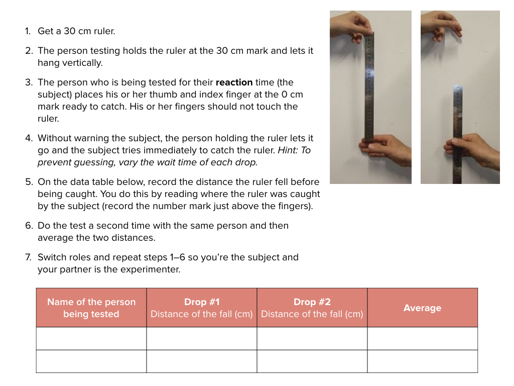 Lab Reaction Ruler Slide A
